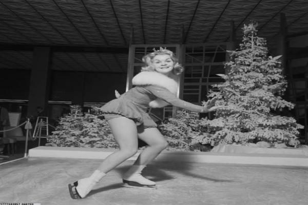 横岗培训中心招聘条件及岗位介绍(图1)