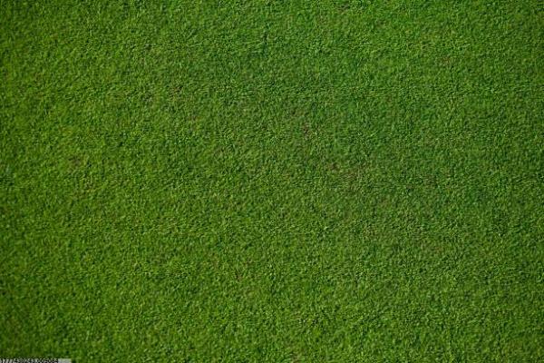 靖江中考体育培训学校选择攻略(图1)